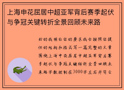 上海申花屈居中超亚军背后赛季起伏与争冠关键转折全景回顾未来路 上海申花屈居中超亚军背后赛季起伏与争冠关键转折全景回顾未来路